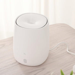 Aromatherapy diffuser Humidifier