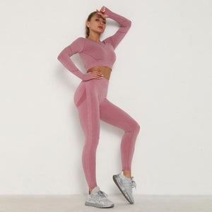 Yoga Clothing Set Sports Suit