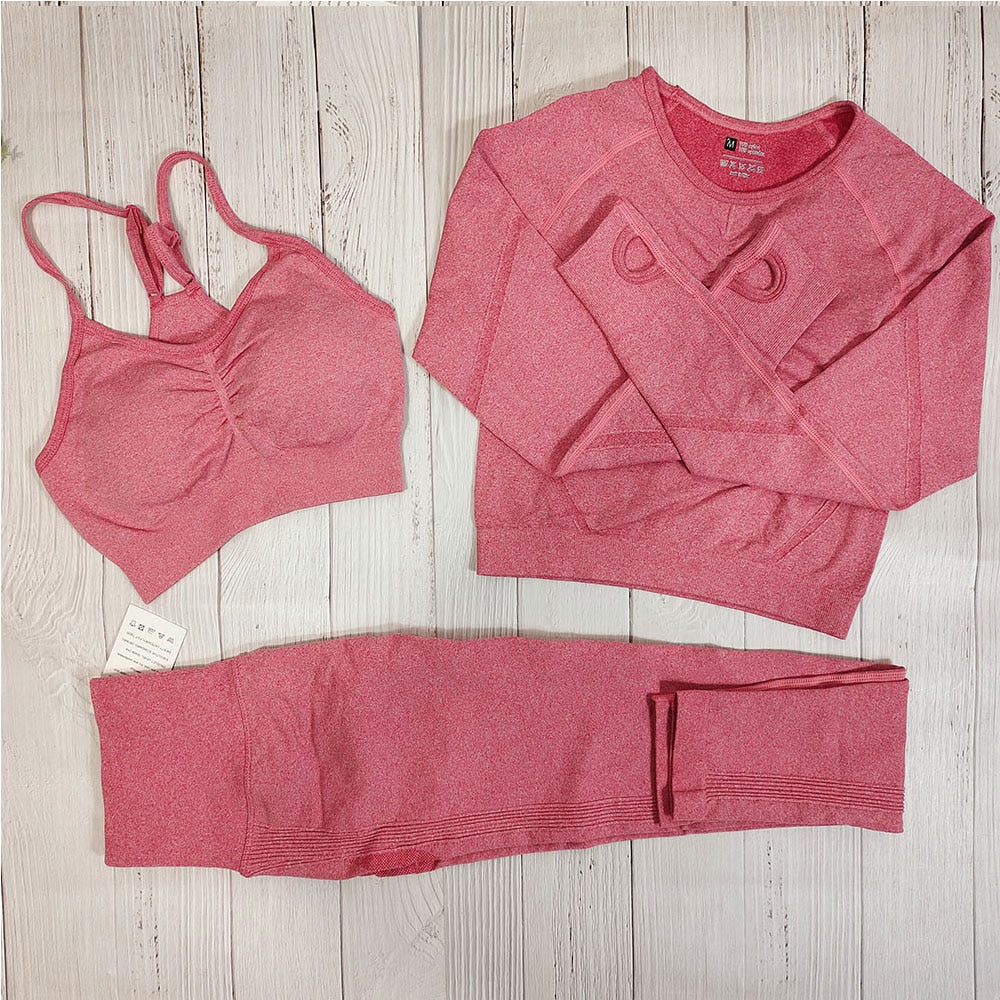 Yoga Clothing Set Sports Suit