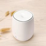 Aromatherapy diffuser Humidifier