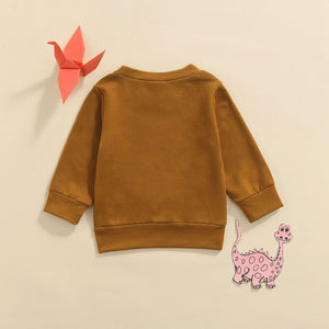 0-3Y Autumn Baby Boys Sweater Outwear 3 Colors Letter Printed Long Sleeve Pullover Causal Tops