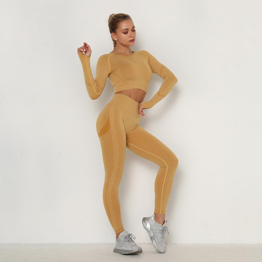 Yoga Clothing Set Sports Suit