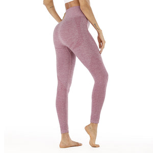 High Waisted Yoga Pants