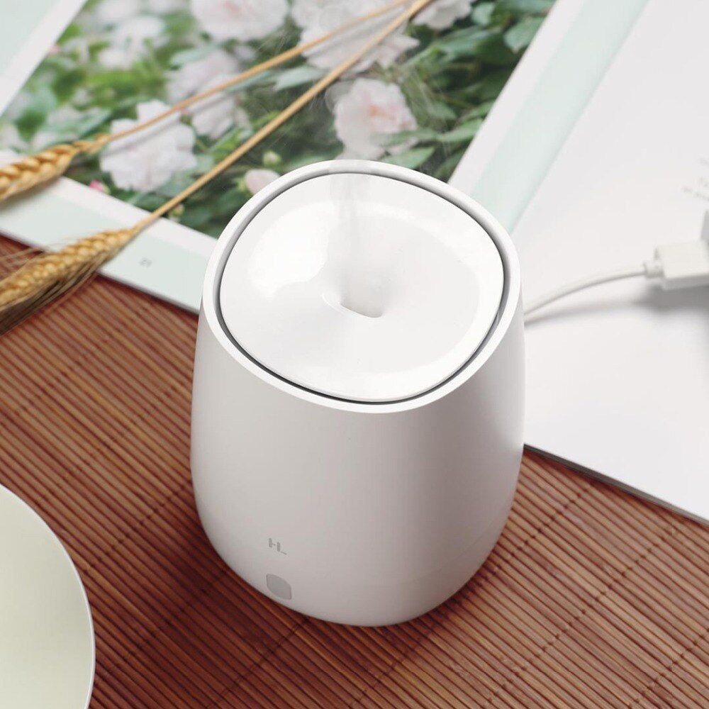 Aromatherapy diffuser Humidifier