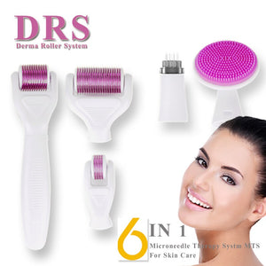 6 in 1 Derma Roller Microneedle Kits For Multiple Skin Care