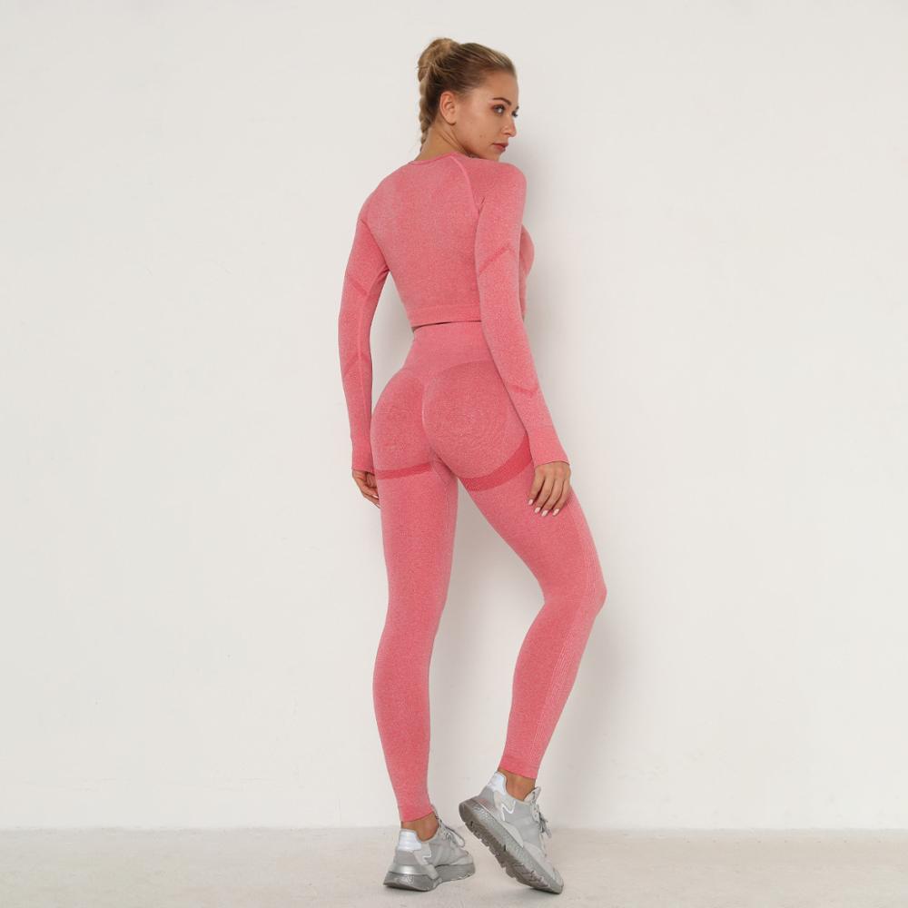 Yoga Clothing Set Sports Suit