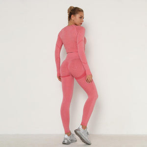 Yoga Clothing Set Sports Suit