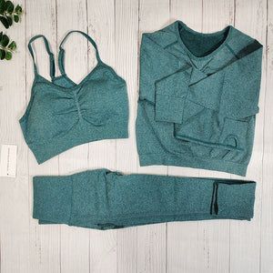 Yoga Clothing Set Sports Suit