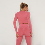 Yoga Clothing Set Sports Suit