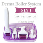 6 in 1 Derma Roller Microneedle Kits For Multiple Skin Care