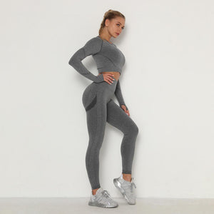 Yoga Clothing Set Sports Suit