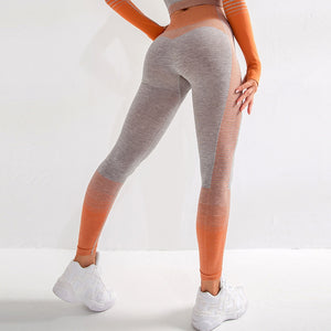 Sport Set Women Seamless Yoga Set