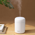 Portable 300ml Humidifier USB