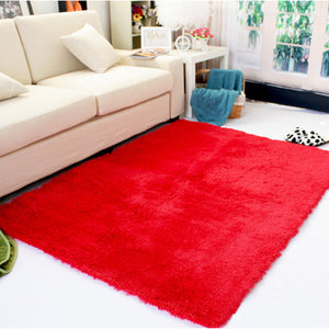 80X120CM Soft Fluffy Rugs Shaggy Area Rug